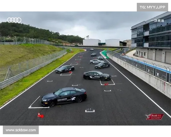 奥迪历史赛事辉煌征程勒芒五连冠与赛道传奇的不朽传承